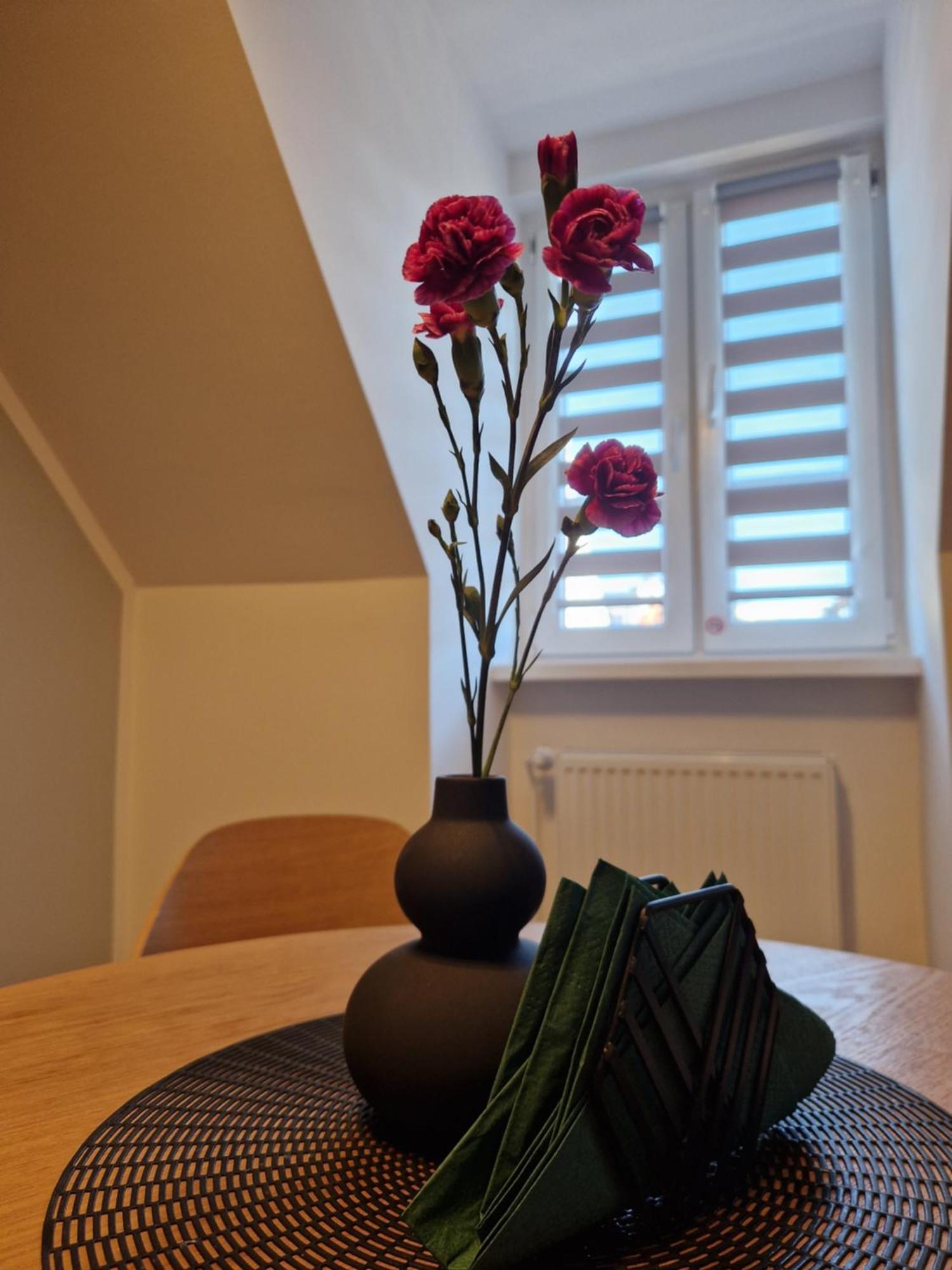 Apartament Rabianska 14 Stary Toruń المظهر الخارجي الصورة